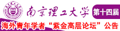 日韓美女機巴操逼南京理工大学第十四届海外青年学者紫金论坛诚邀海内外英才！